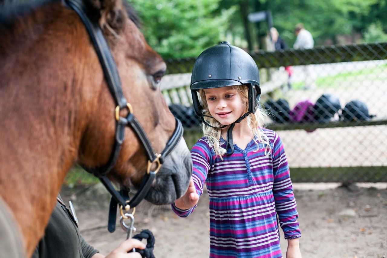 Ponnyridning i Skånes Djurpark