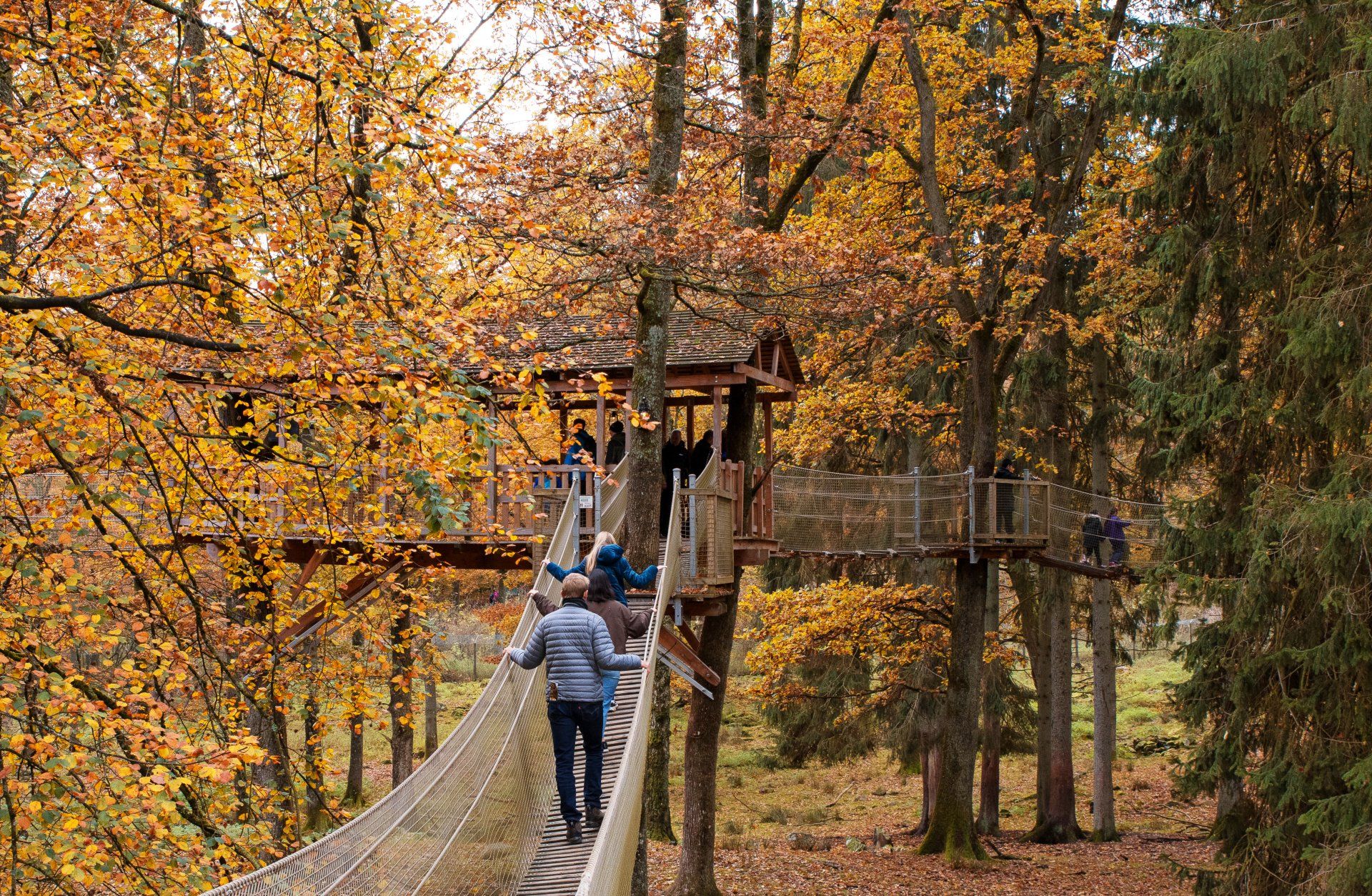 Upplev ventyr F r Familjen I Sk nes Djurpark Djur Natur ventyr Upplev ventyr F r Familjen I Sk nes Djurpark Djur Natur ventyr