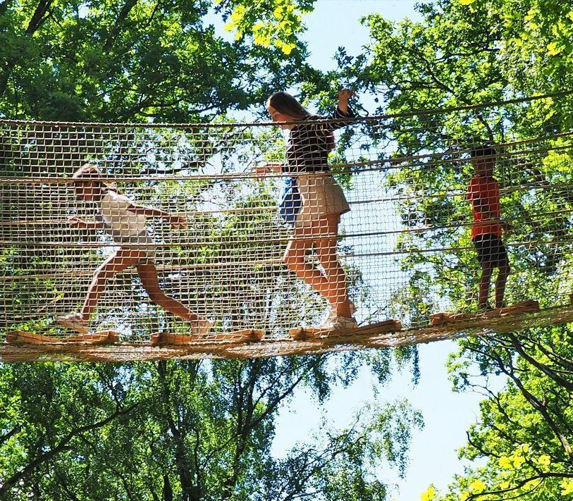 Upplev djurparken från trädtopparna i expedition UPP