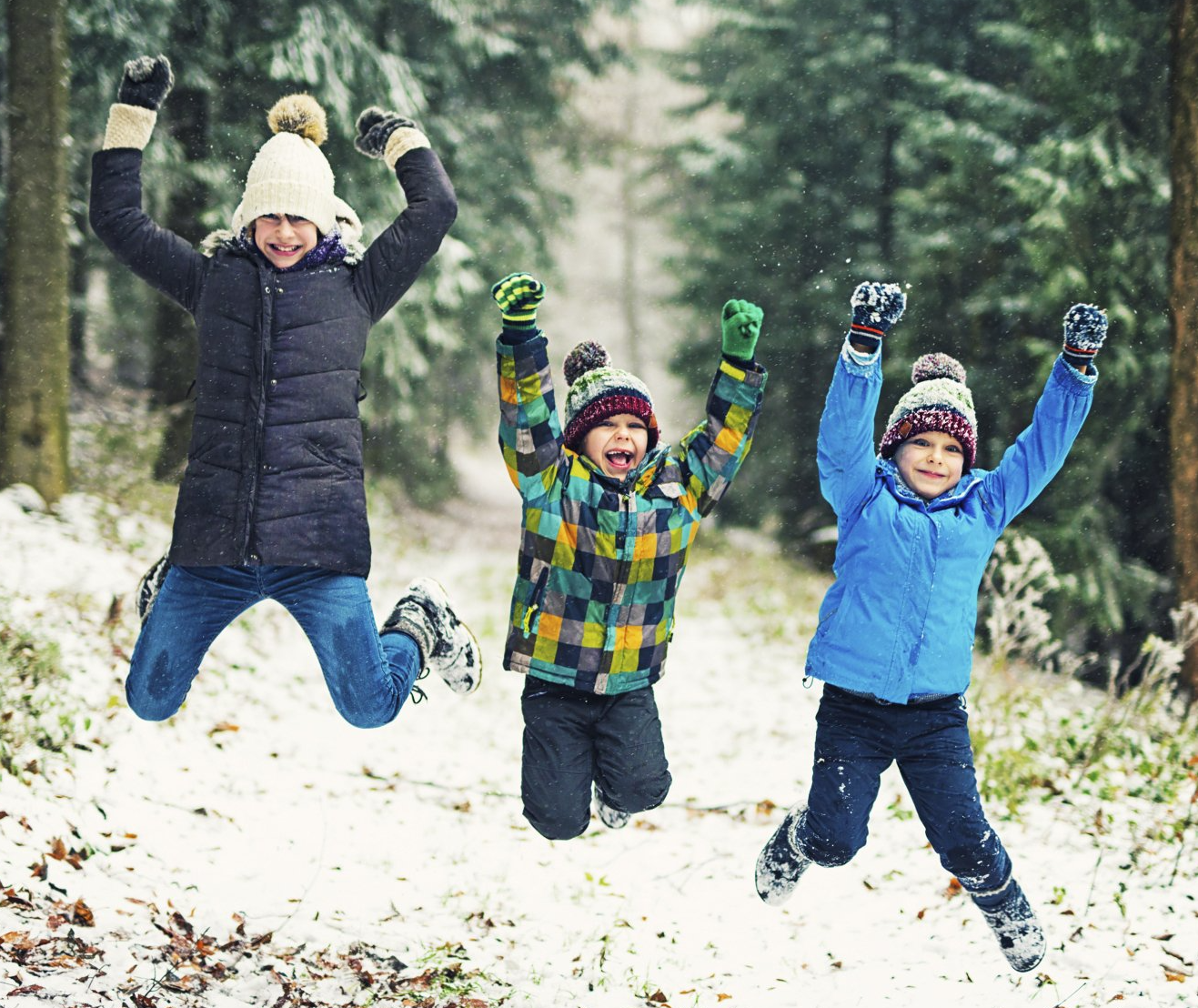 Välkommen på Sportlov i Djurparken - kristalljakt, naturbingo och nordiska djur. För dig som längtar ut!