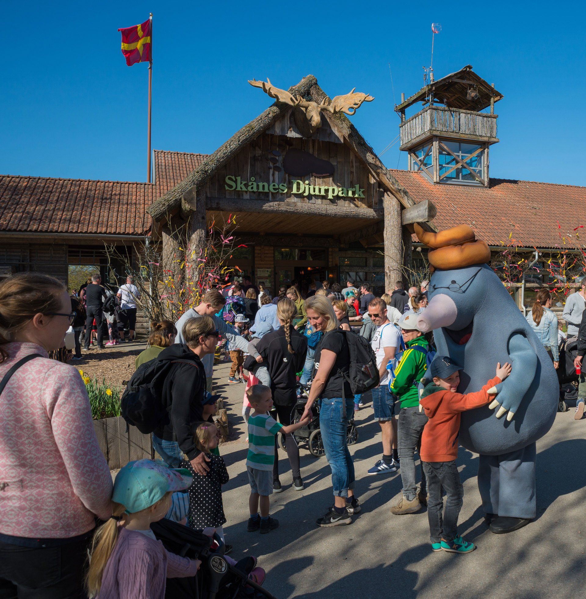 Upplevelser Djur Aktiviteter F r Hela Familjen I Sk nes Djurpark