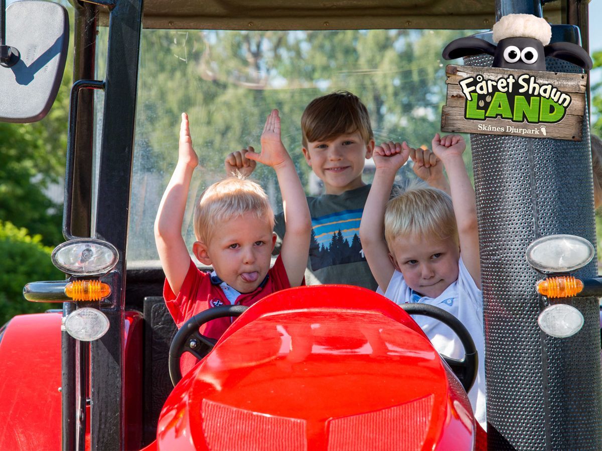 Ta ett eget traktorkörkort i Skånes Djurpark!