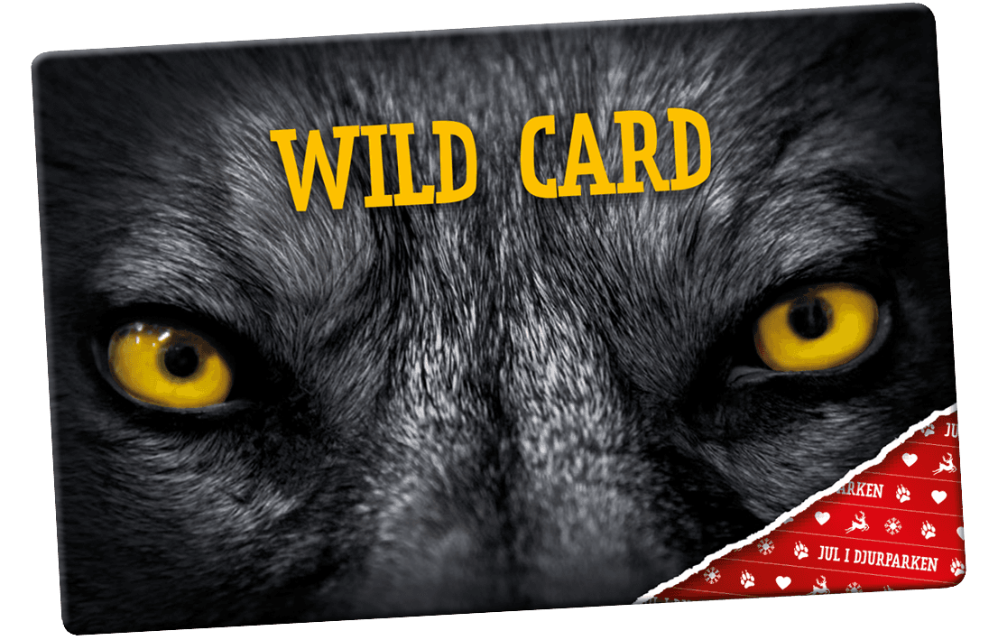 Wild card Skanes Djurpark