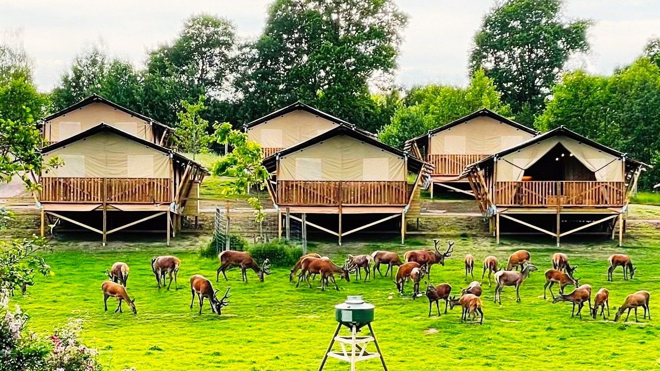 Upplev ventyr F r Familjen I Sk nes Djurpark Djur Natur ventyr Upplev ventyr F r Familjen I Sk nes Djurpark Djur Natur ventyr