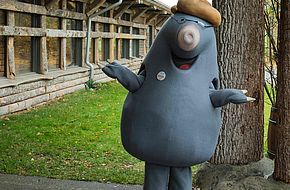 Möt vår maskot mullvaden