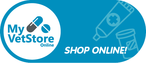 Shop Online Button Shop Online Button