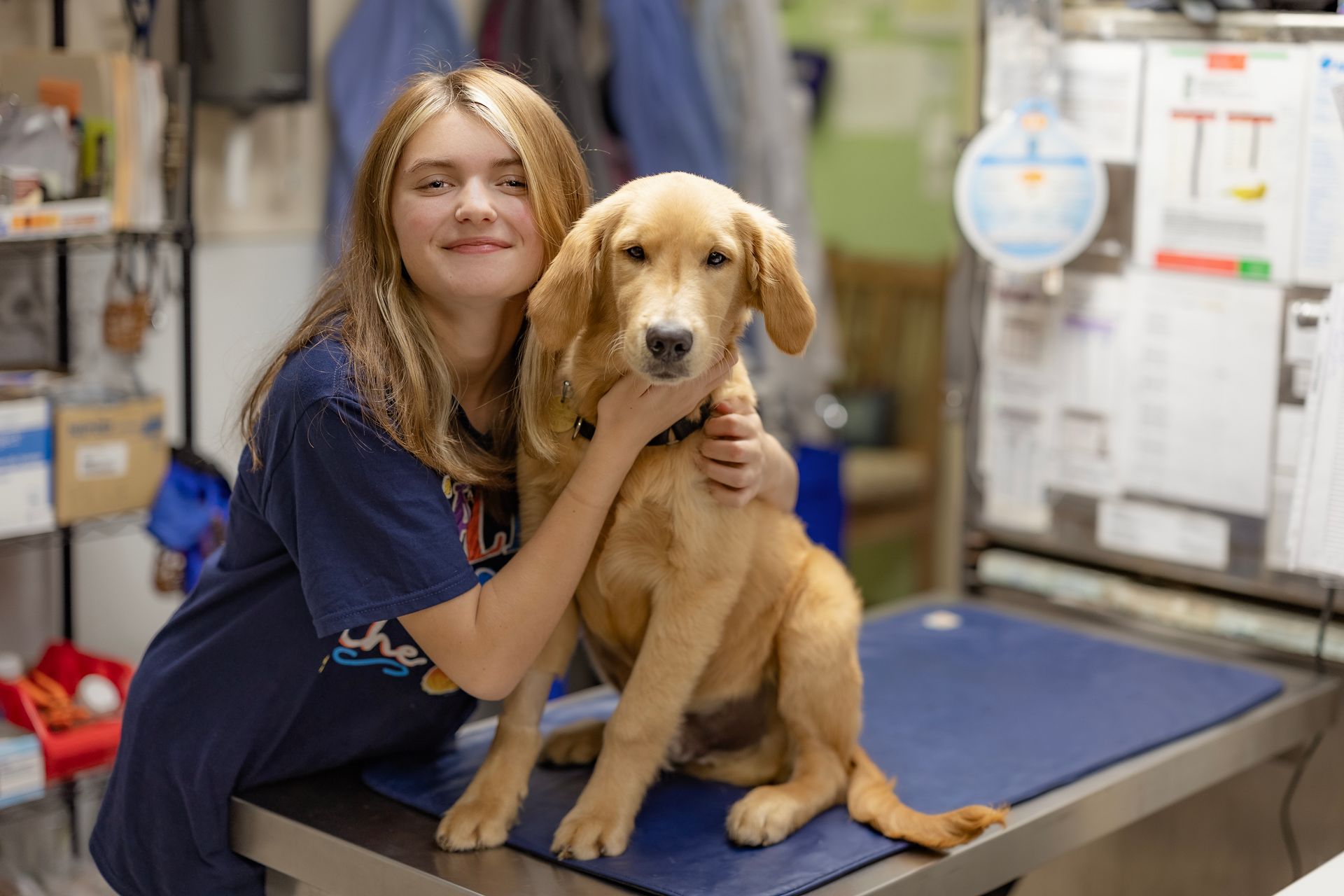 Pet Care Specialists Elyria, OH Elyria Animal Hospital