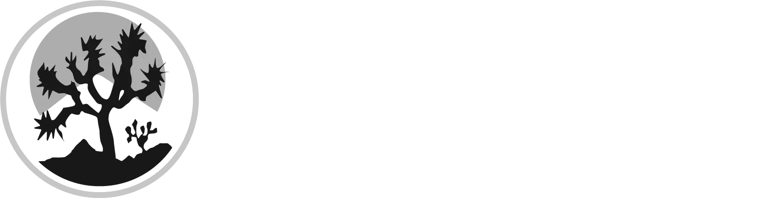 Joshua Tree Serenity