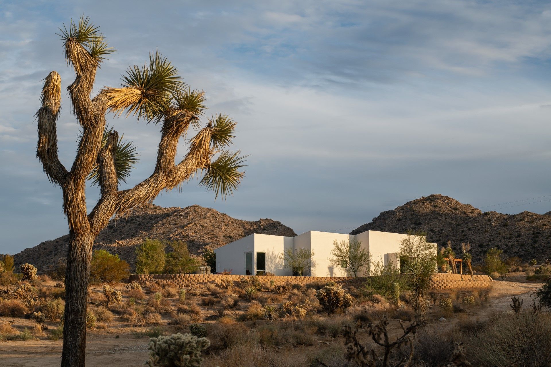 White, angular house nestled in a desert landscape, with a Joshua tree in the foreground and mountains in the distance.