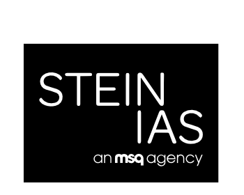 Working with Stein IAS