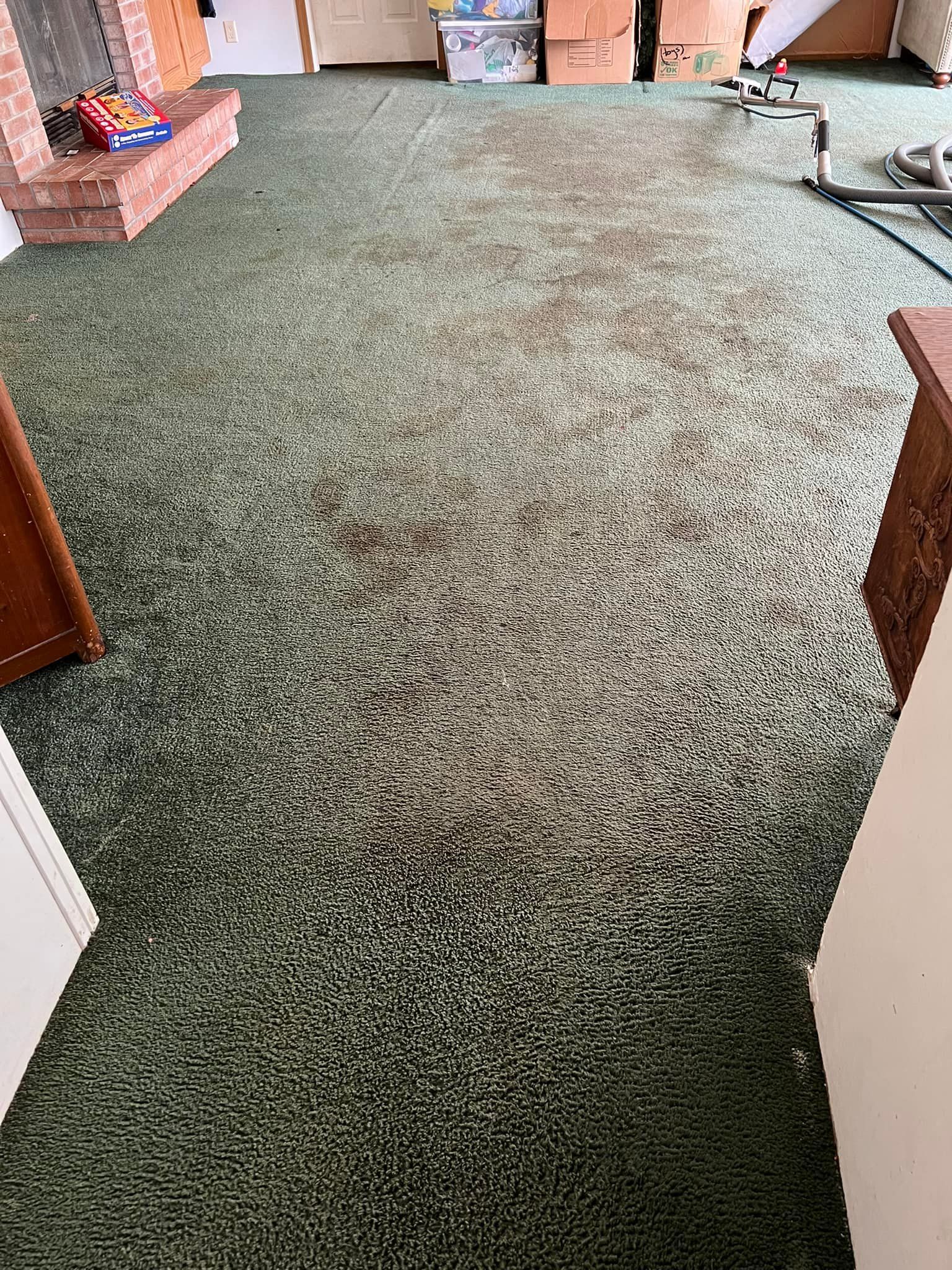 Masseys Chem Dry Carpet Cleaning