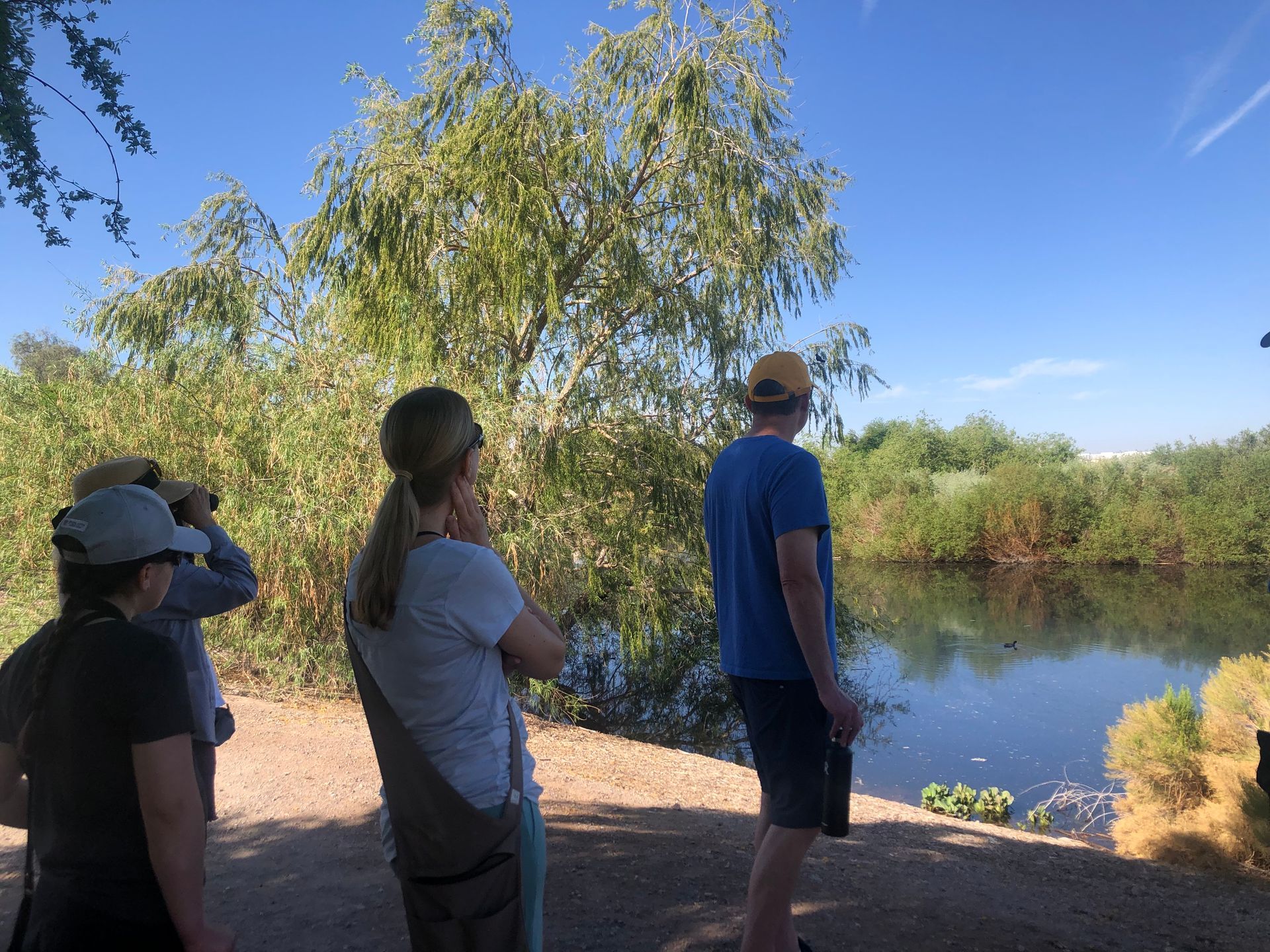 Birding as a Pathway to Healing for University Trauma Survivors
