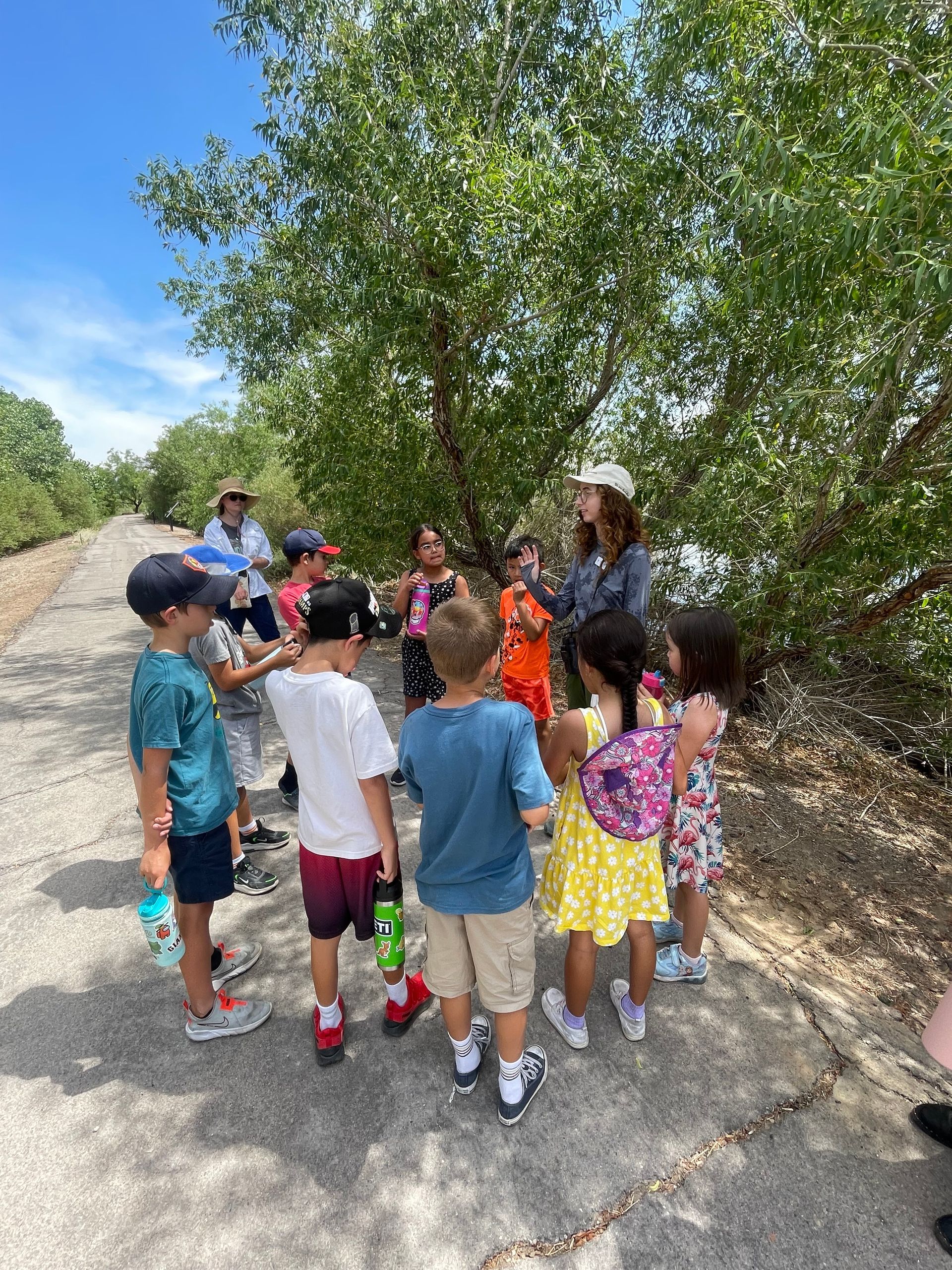 A bird with a long beak is standing in the water