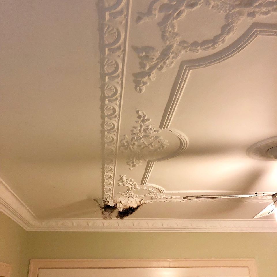 Ceiling Cornice Fixing — Cornice Reproduction in Logan Village, QLD