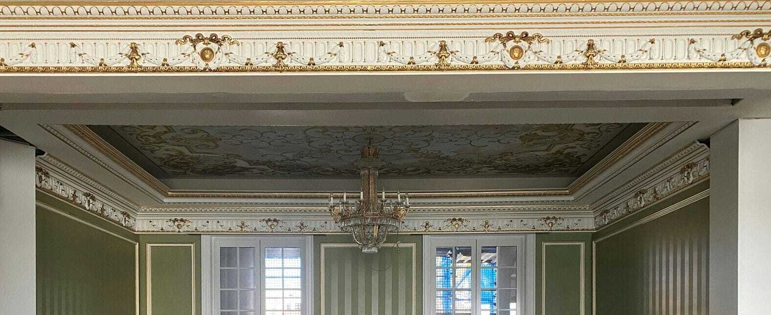 Elegant Medallion Cornice  — Custom Cornices in Logan Village, QLD