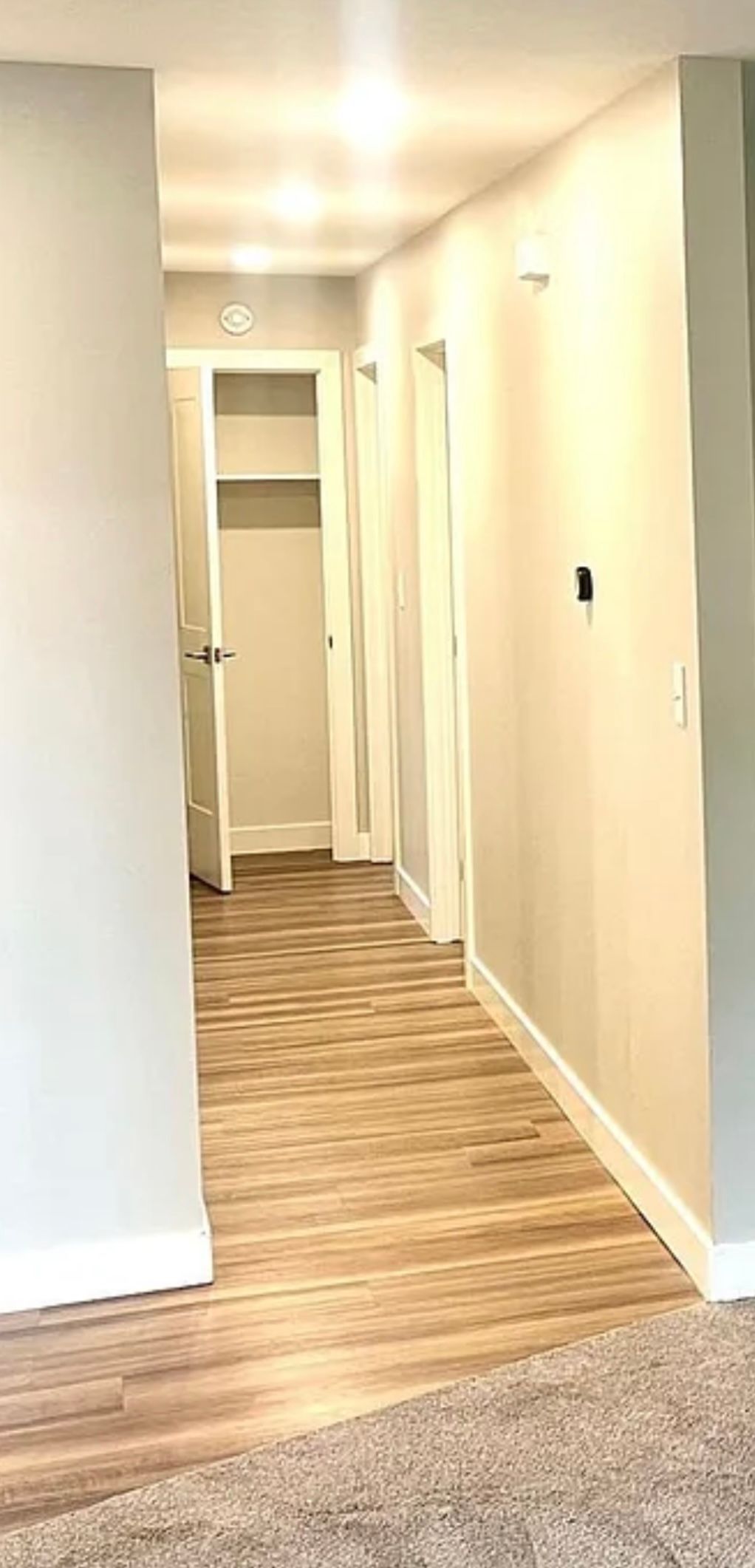 Narrow hallway with light-colored walls and wood-look flooring. A closet is at the end of the hall.