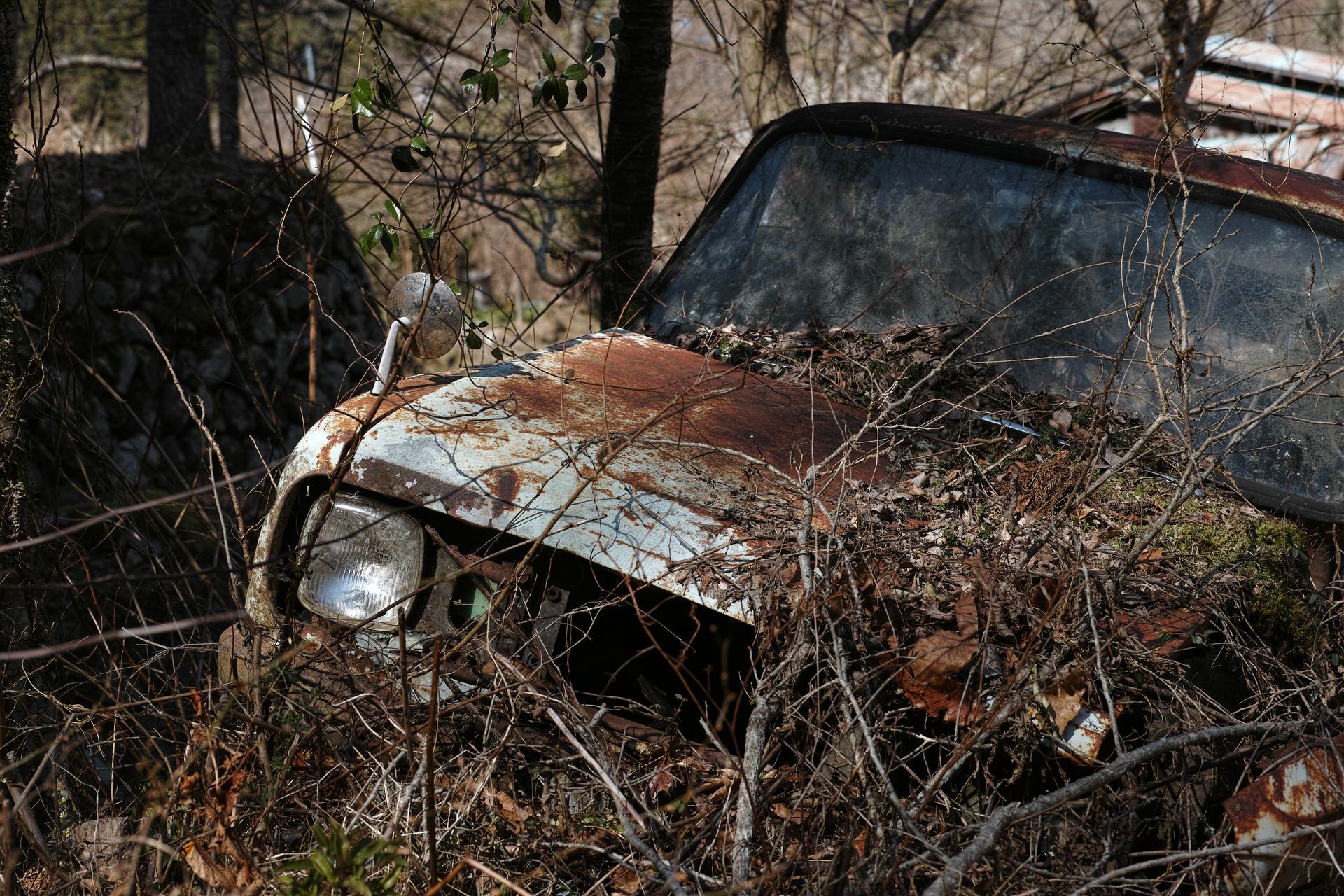Rusty, damaged car abandoned in overgrown vegetation.