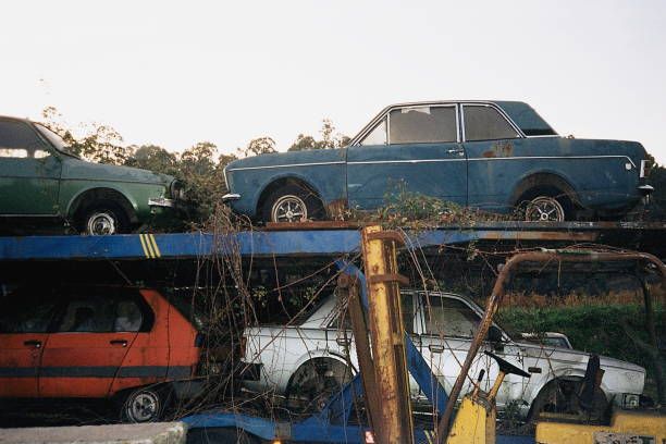 Some junk cars rotting on a trailer with weeds and plants growing around them.