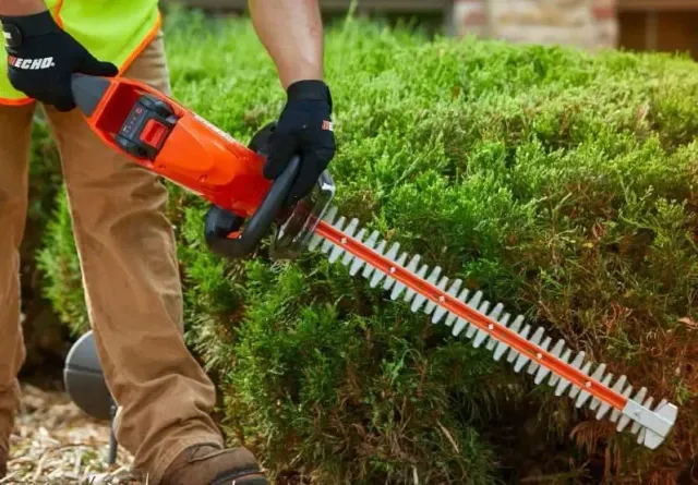 Taille de haies Sainte-Agathe