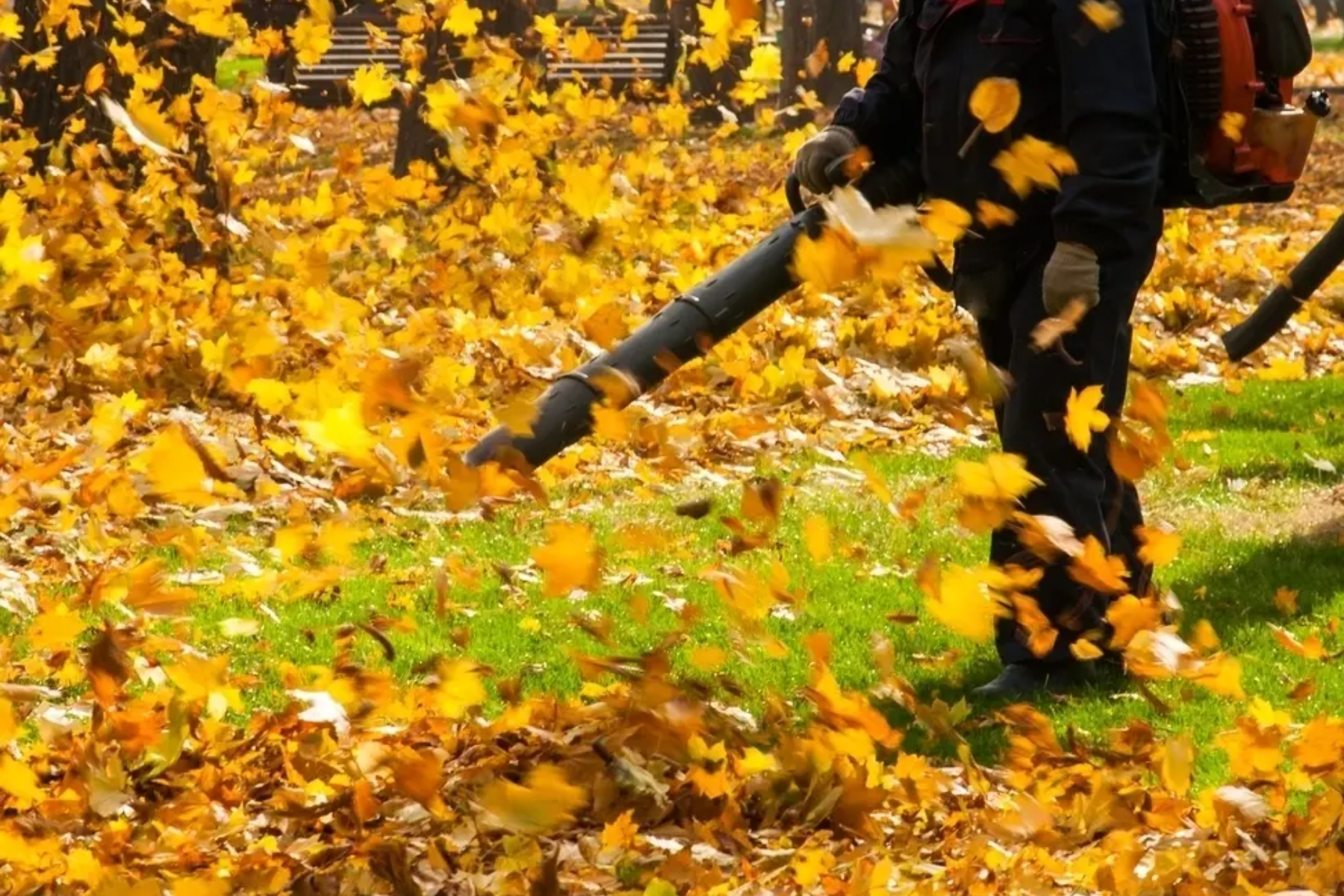 Ramassage de feuilles et fermeture de terrain Sainte-Agathe, Laurentides.