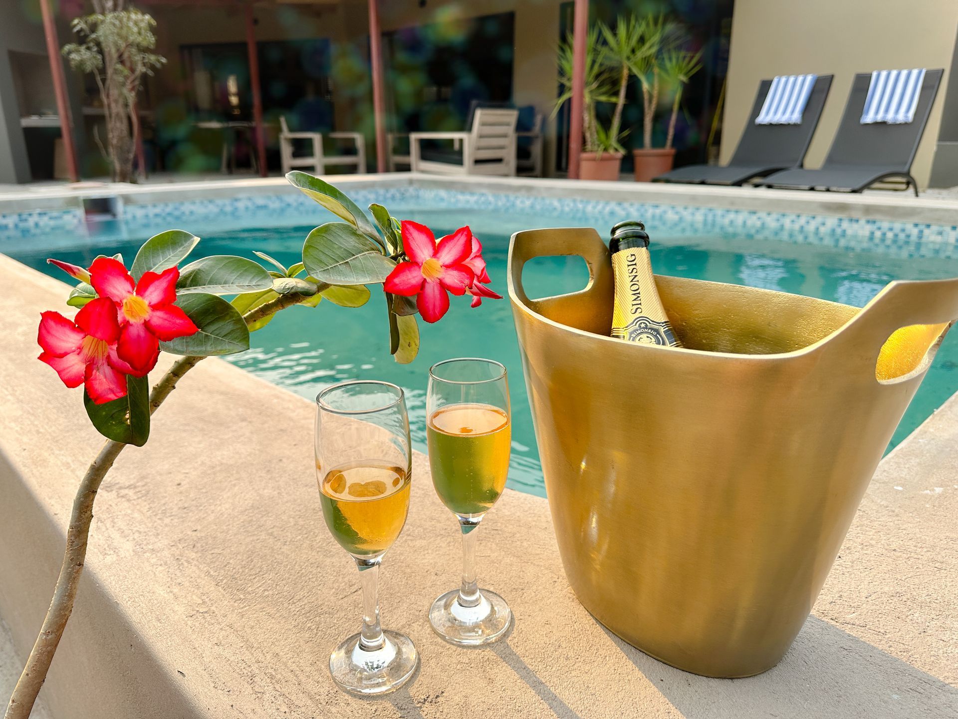 A gold bucket with a bottle of champagne and two glasses next to a swimming pool.