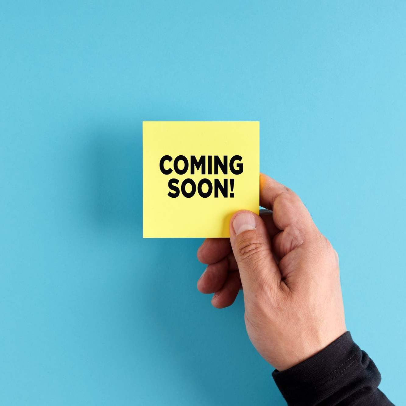 a plate of sandwiches on a table with the words lunch & learn on it
