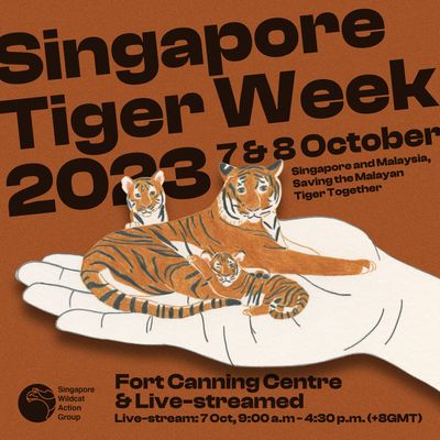 tiger – OG Singapore