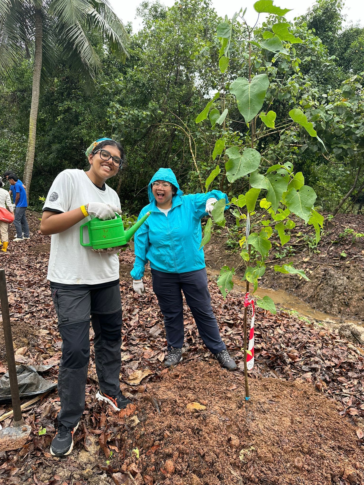 SWAG planting in Pulau Ubin 2024