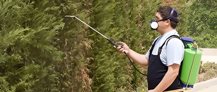 A Man Wearing a Mask is Spraying a Tree With a Sprayer — Audy Geiszler Pest Control in Bowen, QLD