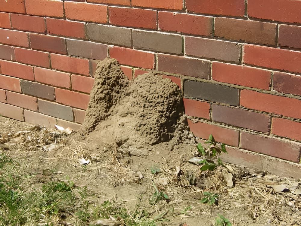 A Brick Wall With a Pile of Dirt Next to It — Audy Geiszler Pest Control in Bowen, QLD