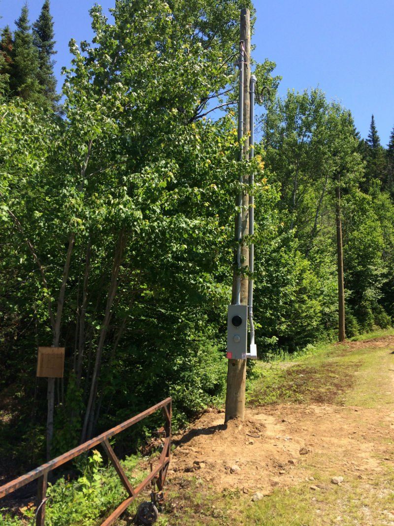 Un poteau téléphonique au milieu d'une forêt.