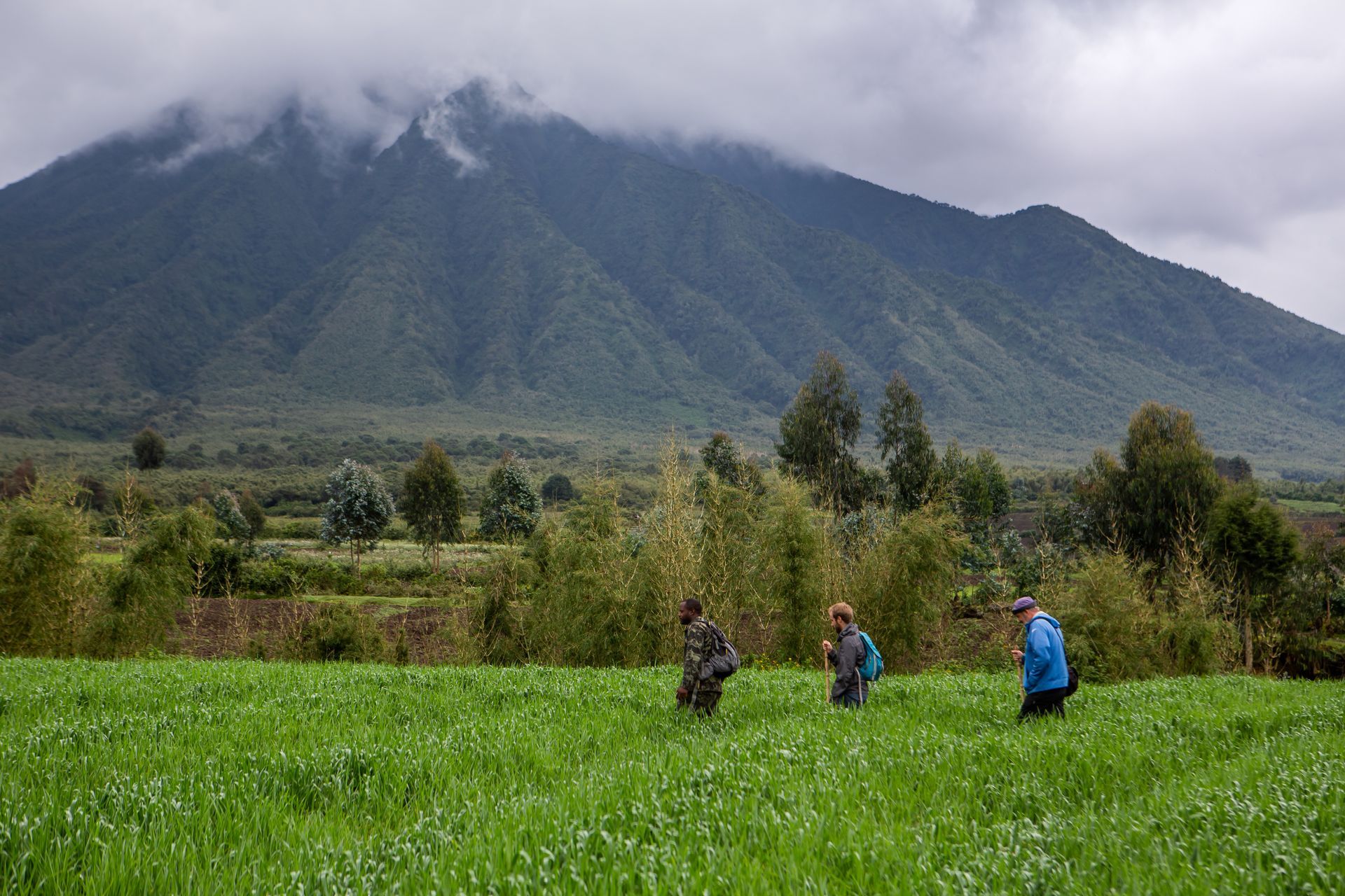 Speke Uganda Holidays - Rwanda mountains trekking