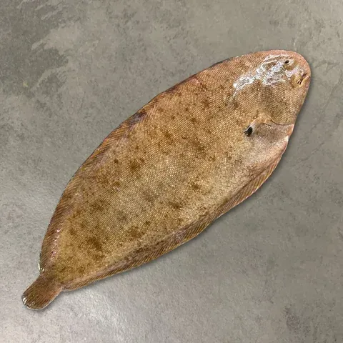 1 kilo Noordzee tong