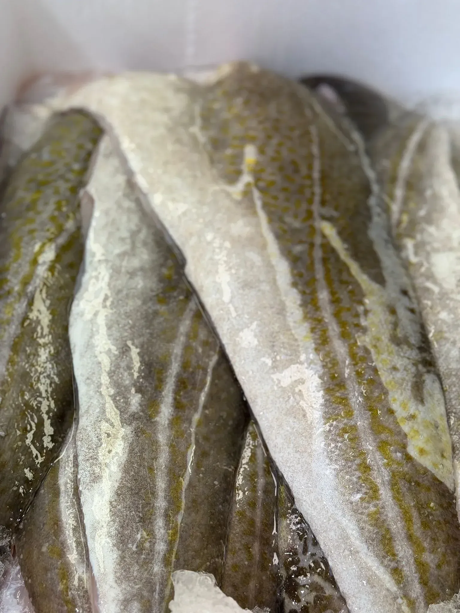 1 kilo kabejauw filet met huid