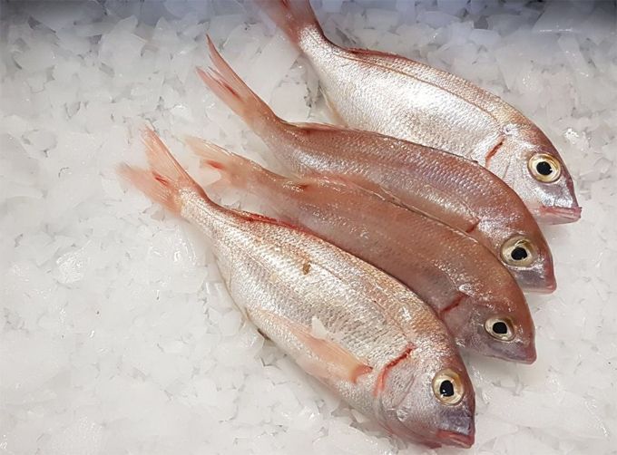 1 kilo Spaanse Pagelli