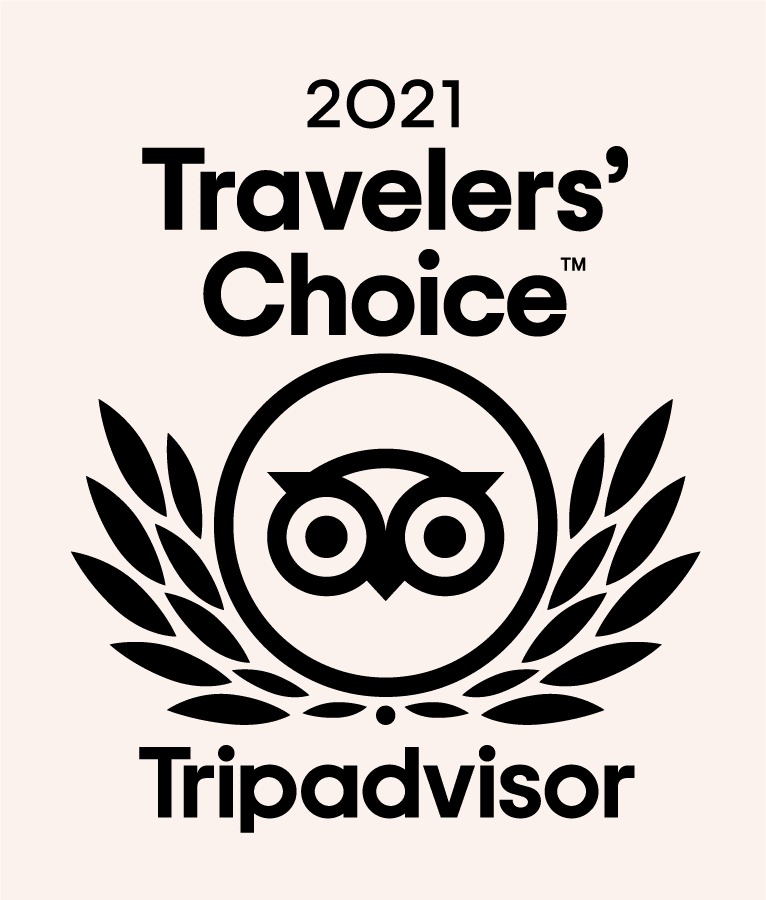 It is a travelers choice tripadvisor logo.