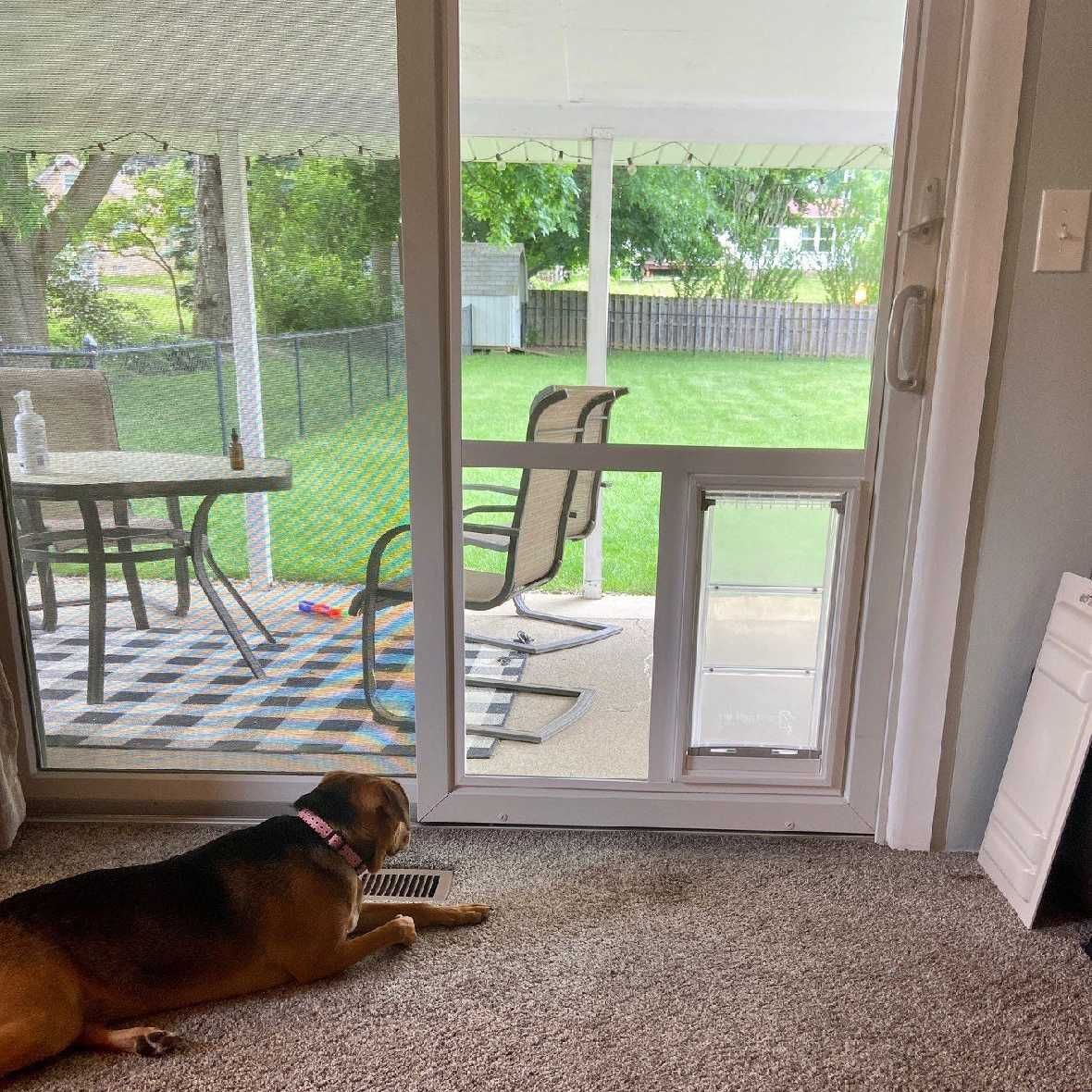 Dog laying by a sliding glass door with a doggy door, looking outside at a patio and backyard.