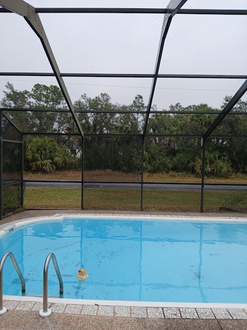 Pool with blue water under a screened enclosure, with trees and overcast sky in background.