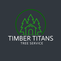 The sun is shining through the window and casting a shadow on the wall.