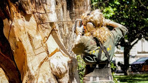 A man is cutting a tree with a chainsaw.