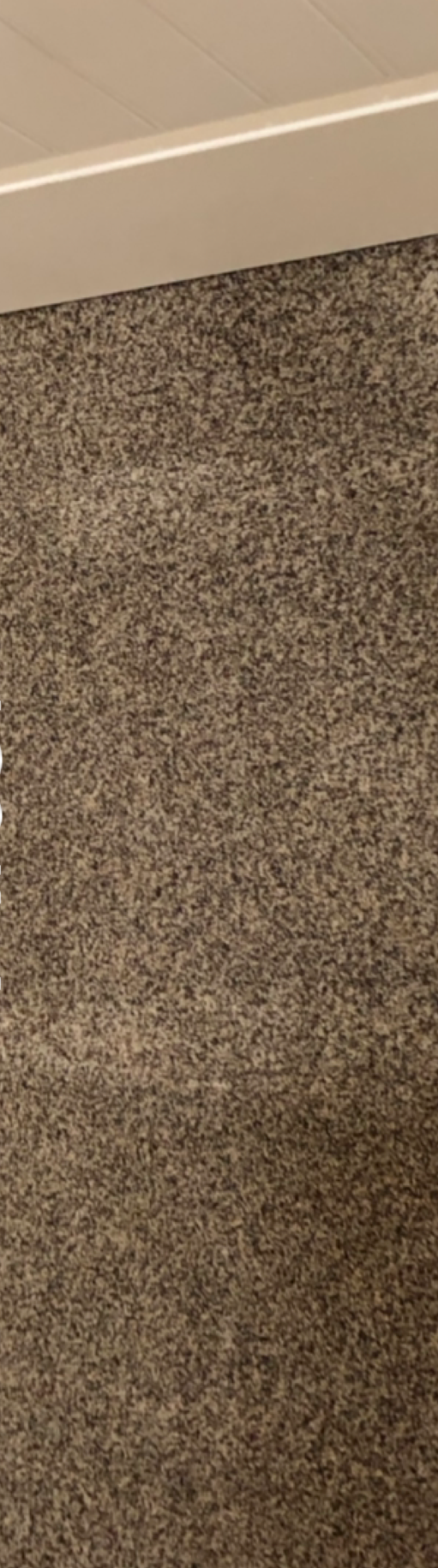 A close up of a brown carpeted floor with a white trim.