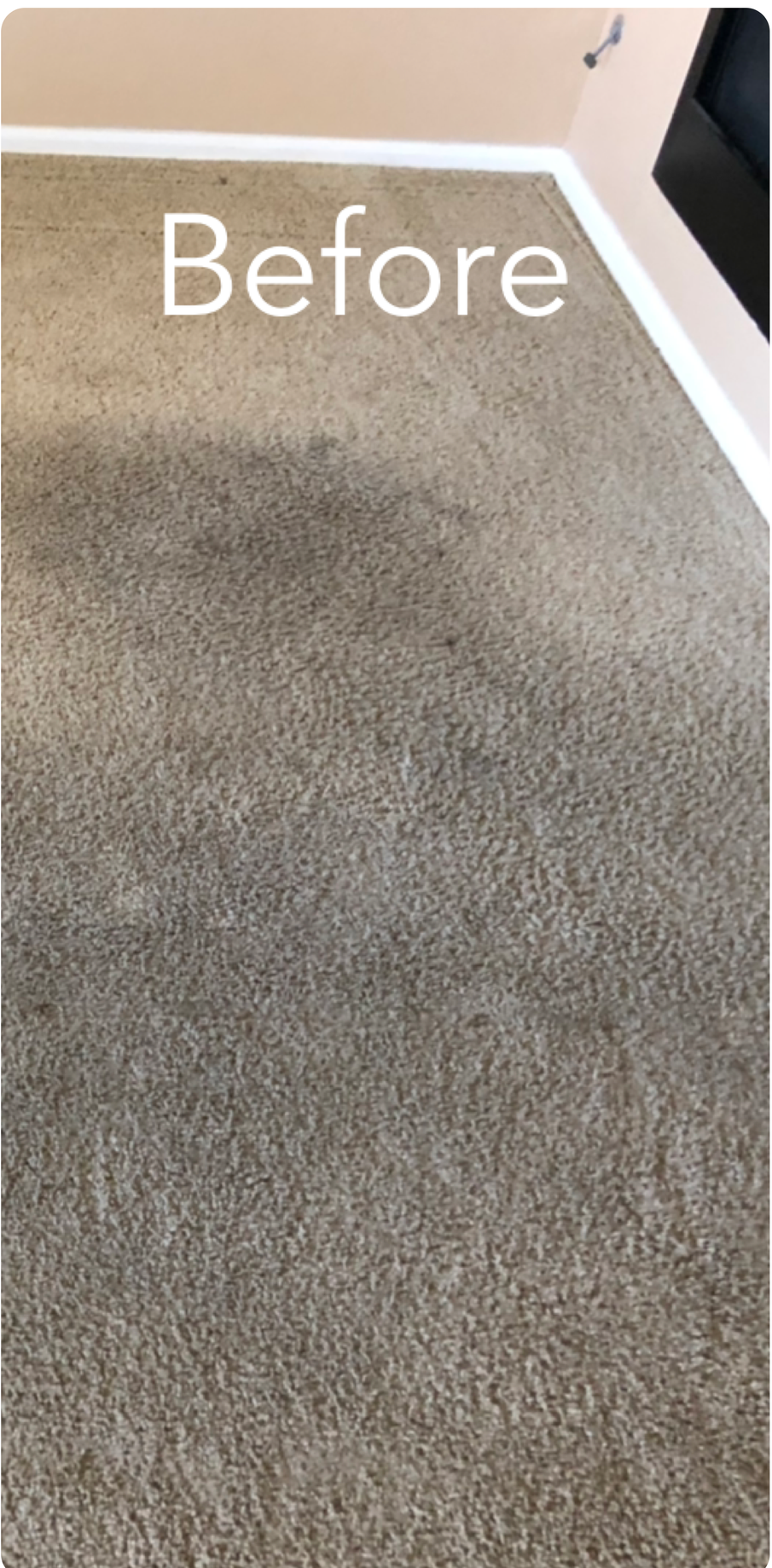 A picture of a carpet before being cleaned.