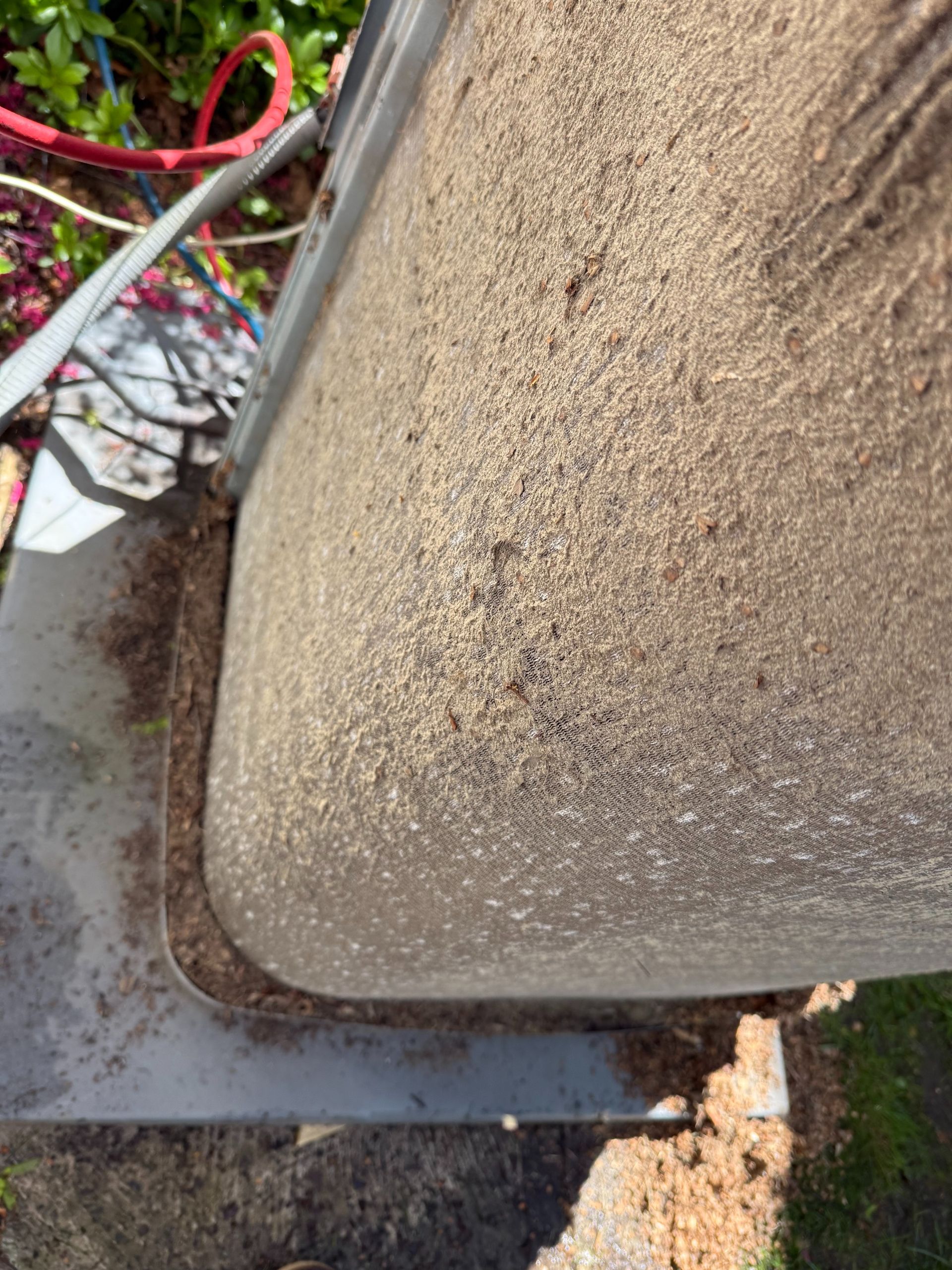 Close-up of a rectangular bin filled with wood shavings and sawdust, outdoors, gray metal base.