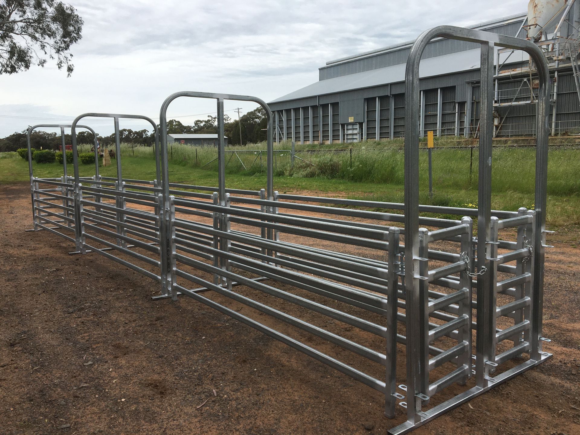 Metal livestock handling system on dirt path, with open pens and gate, outdoor setting.