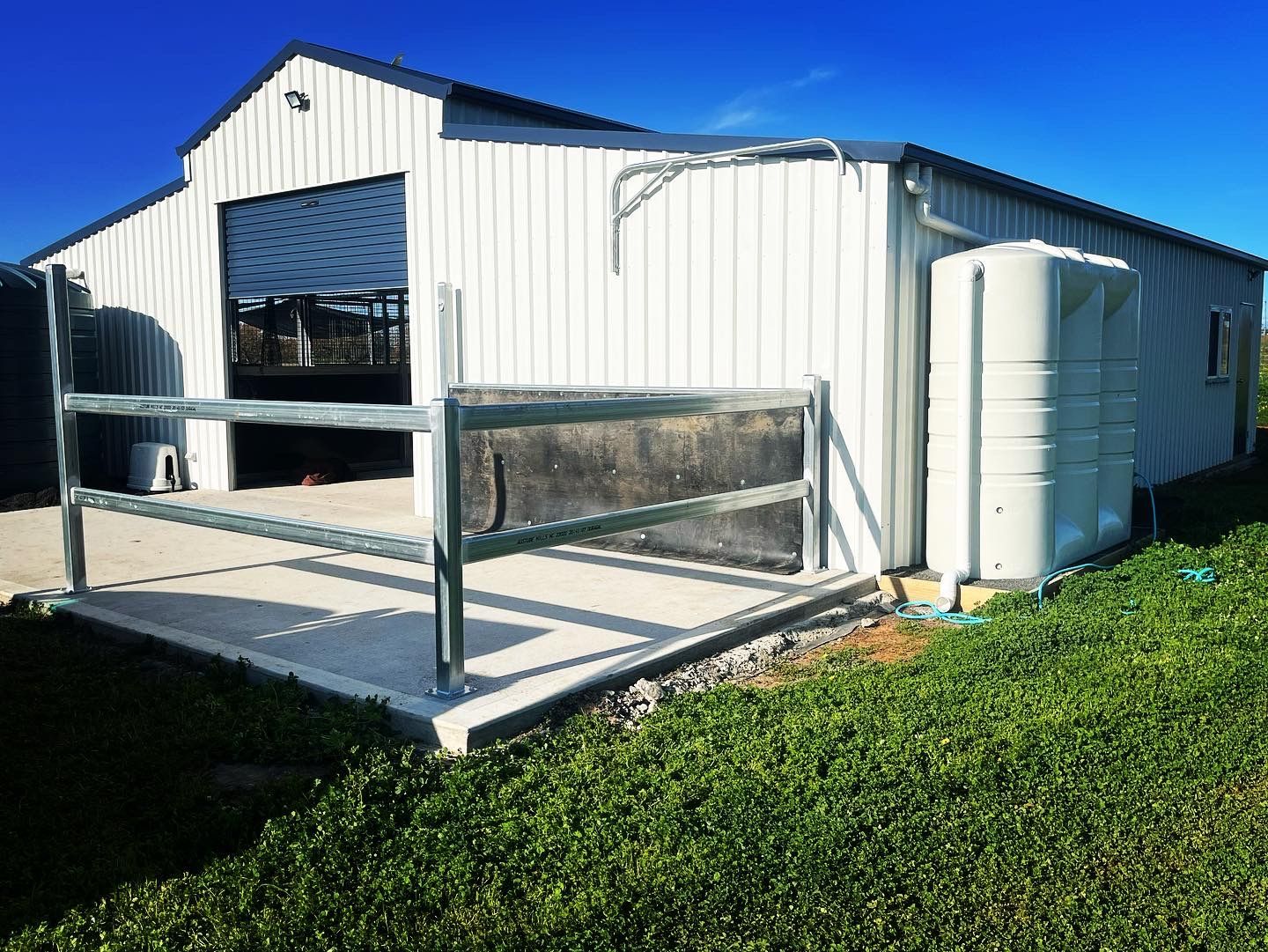 Two Horses Are Grazing in A Fenced in Area — Ballimore Welding in Ballimore, NSW