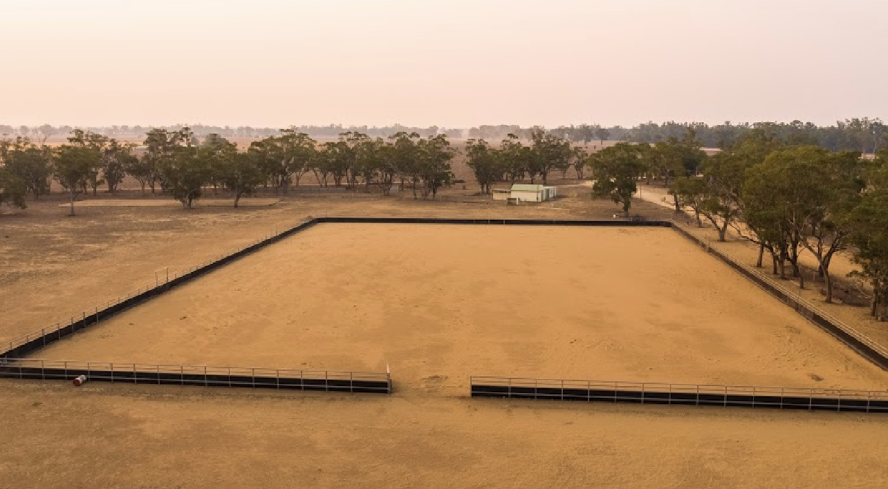 A Brown Horse Is Standing in A Fenced in Area — Ballimore Welding in Ballimore, NSW