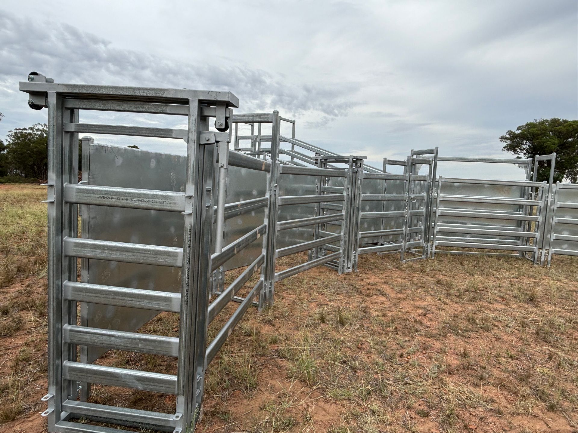 Metal cattle chute and pen system on a grassy field under a cloudy sky.
