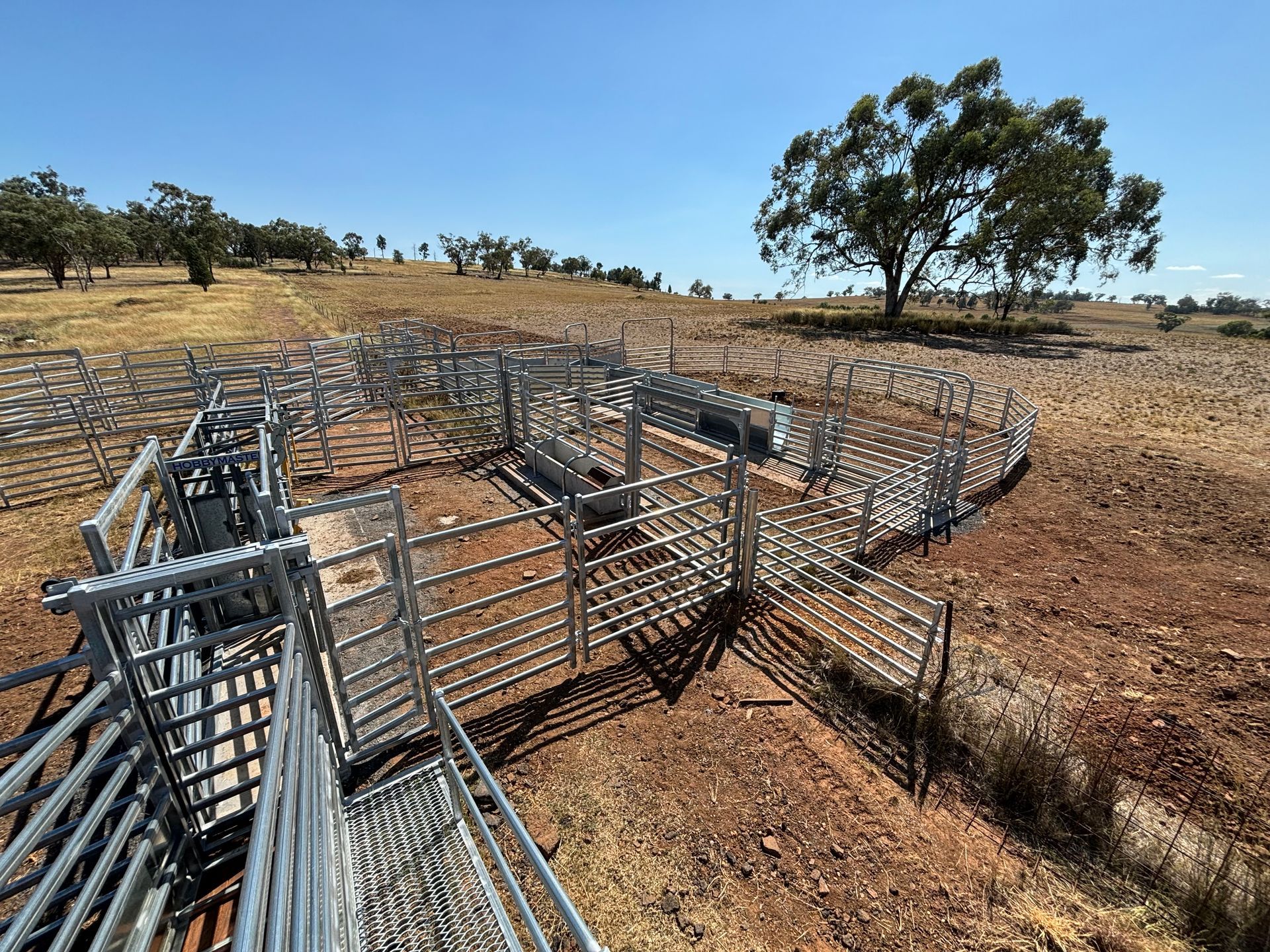 Metal cattle yards in a dry, brown field under a blue sky, trees in the distance.
