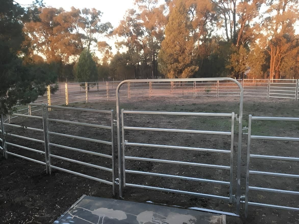 Metal farm fence with gates in a grassy field, trees in the background at sunset.