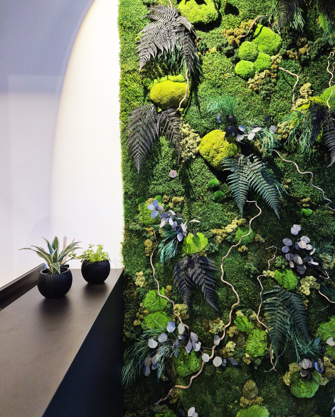 Mur végétal avec une variété de plantes et de mousse 